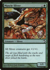 Muscle Sliver - Foil